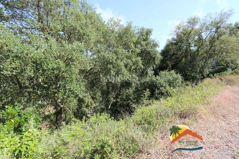 Foto d62af011-f832-4240-9621-d872d548b737. Terrain résidentiel dans Serra Brava Lloret de Mar