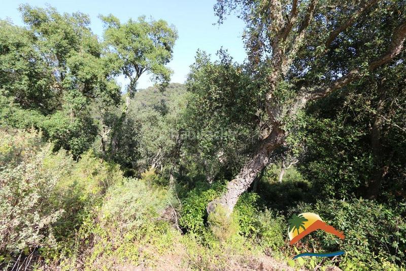 Foto f50598eb-c736-4d50-8999-ccbabbb4a417. Terrain résidentiel dans Serra Brava Lloret de Mar