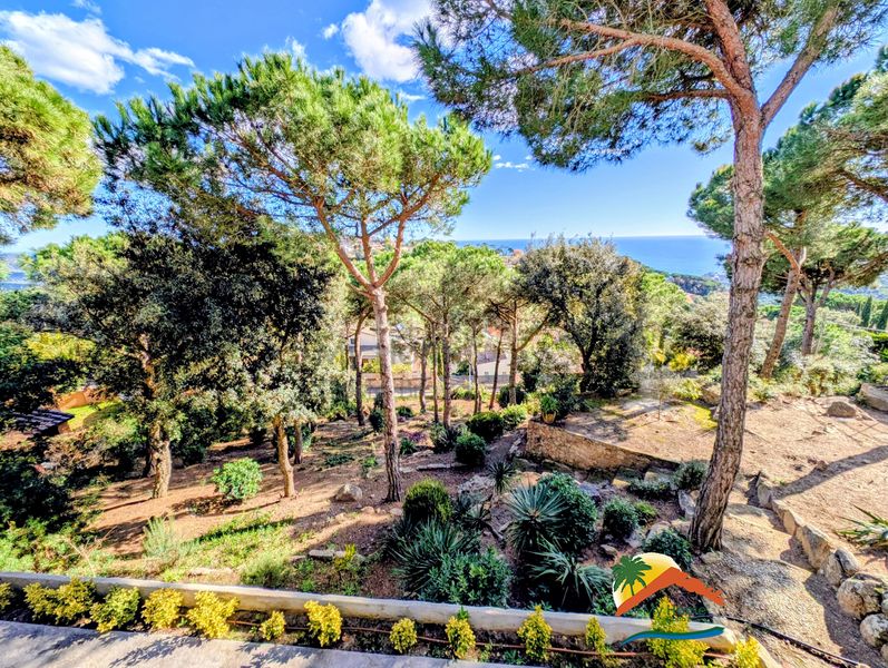 Foto 6e1de362-f641-43ca-911f-93bb80db404d. Casa amb calefacció aparcament piscina a Serra Brava Lloret de Mar