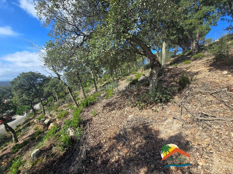 Foto 43d17291-c951-472a-b379-a9f68d8ea5f9. Wohngrundstück in carrer pollancre 43 in Aiguaviva Parc Vidreres