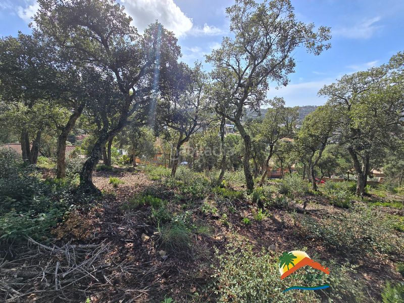 Foto 5a720694-1ead-4550-956b-503a4f7cbe3a. Wohngrundstück in carrer pollancre 43 in Aiguaviva Parc Vidreres