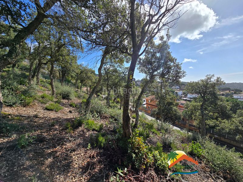 Foto c2f99ca0-ffd6-4ad5-a813-6611dfac90aa. Wohngrundstück in carrer pollancre 43 in Aiguaviva Parc Vidreres