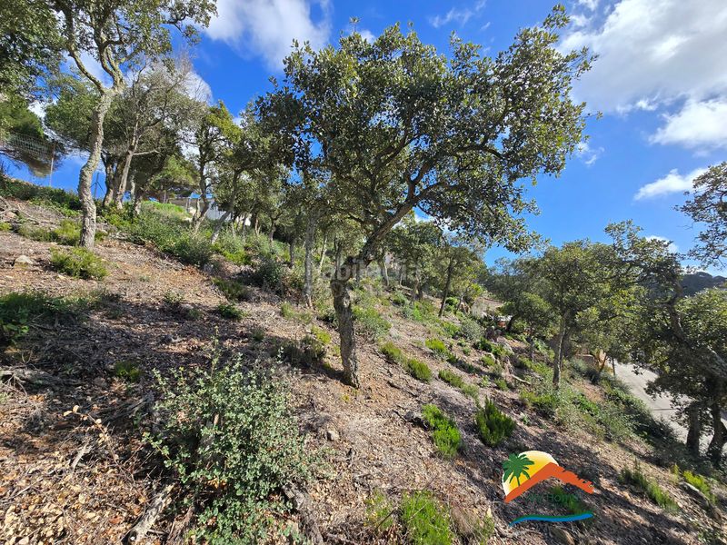 Foto e52f6889-a7f0-42be-8bdf-7238ce65c033. Wohngrundstück in carrer pollancre 43 in Aiguaviva Parc Vidreres