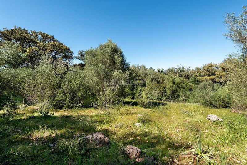 Foto 0f7ae7a5-7bc4-4086-9c78-c27ff147e2b1. Finca rústica a Costitx