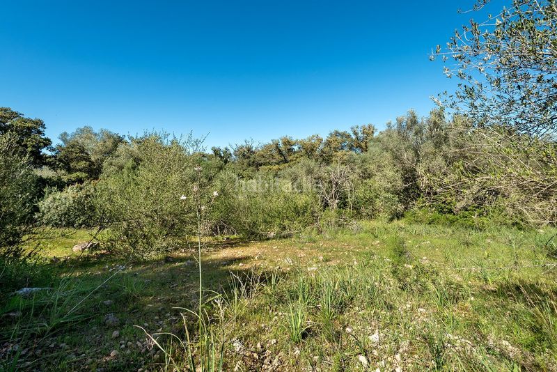 Foto 1c977546-b20c-4e91-a813-70c2ac2c5266. Finca rústica a Costitx