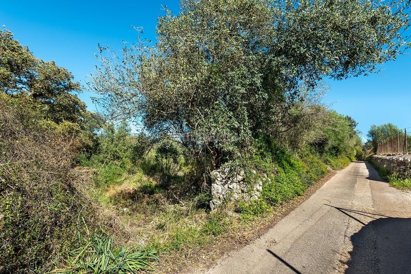 Foto 1edf8da7-d160-4f77-850b-d1c894e34e58. Finca rústica a Costitx