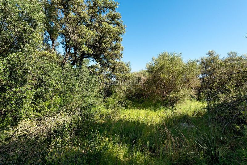 Foto 1f3398e0-1703-46e6-aec8-cd9dba55da01. Finca rústica a Costitx