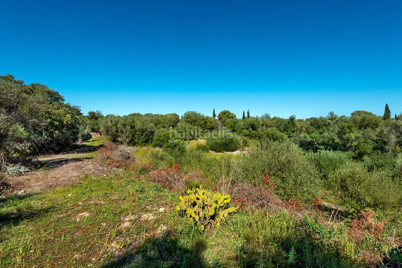 Foto 3140cd2c-1ec2-4c7b-bba0-a53e7f569ccc. Finca rústica a Costitx