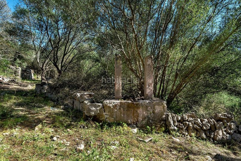 Foto 5f1d5c52-3a0e-47b3-af8a-88a38e7798a1. Finca rústica a Costitx