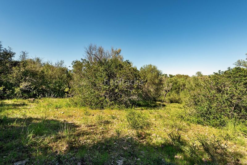 Foto 632431f4-bf88-4a55-8292-20d31b3c1f62. Finca rústica a Costitx