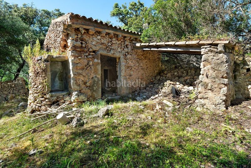 Foto 78442e82-d9b8-4c66-bb5a-be0cb7ddc21c. Finca rústica a Costitx