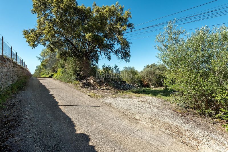 Foto 9d4cb9e8-c7ca-4c07-be62-951756c298f5. Finca rústica a Costitx