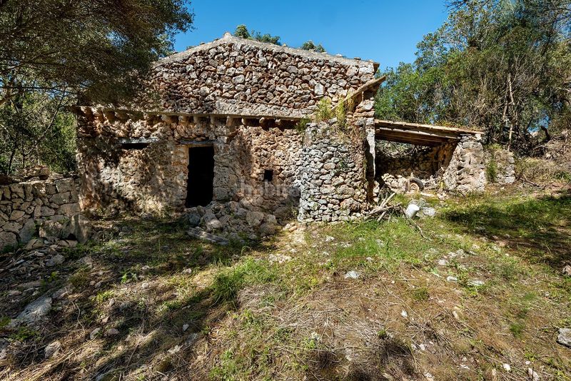 Foto a87753b6-636f-4b7e-8e08-7f089150a392. Finca rústica a Costitx