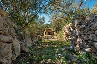 Finca rústica a Costitx. Terreno rústico  caseta en costixt