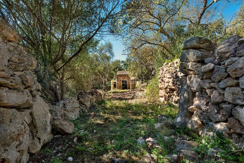 Foto d28b35d4-94b9-40d9-ab36-f2a0720b6f21. Finca rústica a Costitx