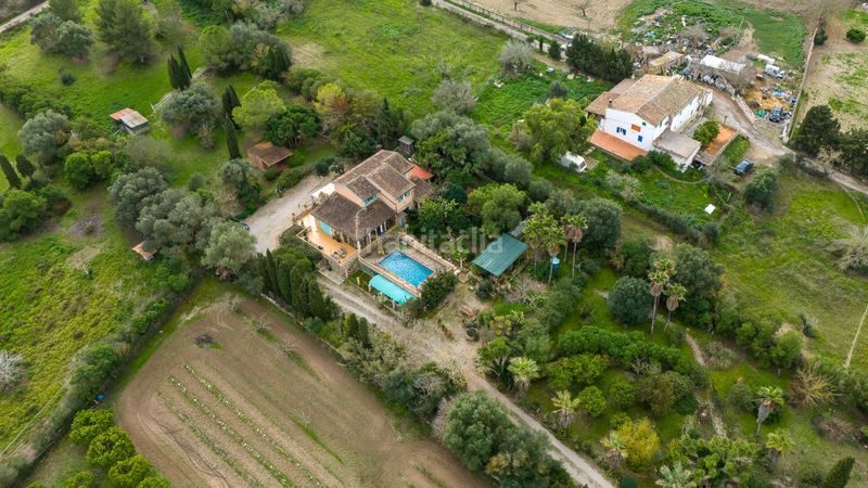Foto 0b1d4bdd-cd3a-4d2b-9a94-e10dbafa3b1e. Masia amb calefacció aparcament piscina a Algaida