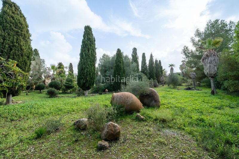 Foto 430f4ed8-6a39-4dbe-bec6-a238bc9013dd. Masia amb calefacció aparcament piscina a Algaida