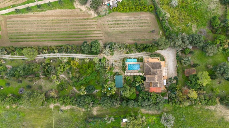 Foto e966989f-7231-48f8-a14d-3737c46d6dc9. Masia amb calefacció aparcament piscina a Algaida