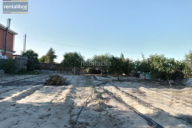 Foto cf05ebaf-de82-4f08-8456-1c6998a10bba. Casa in Chipiona norte Chipiona