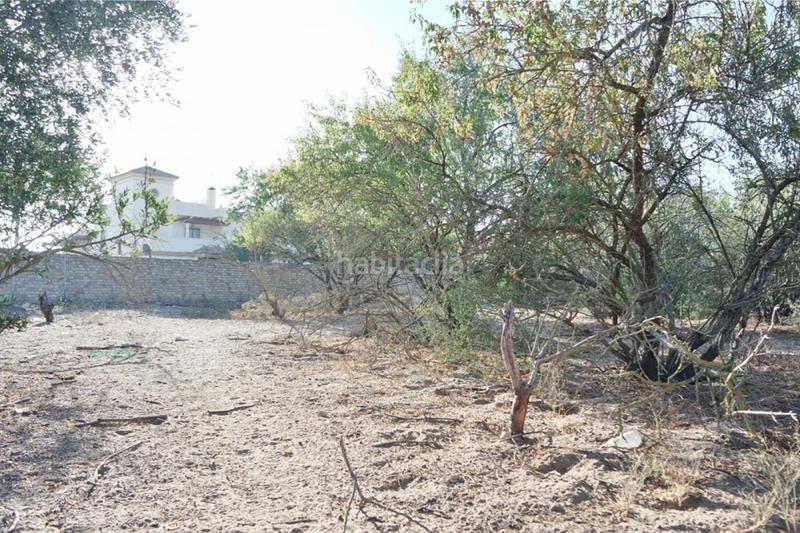 Foto 93949dee-6026-4be3-a7cf-6db0e91b5211. Casa in V Centenario-Piletas-Capuchinos Sanlúcar de Barrameda