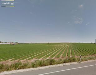 Terreno residencial en Las Palmeras-Dehesilla. Finca de regadío con casi 5.000 m2