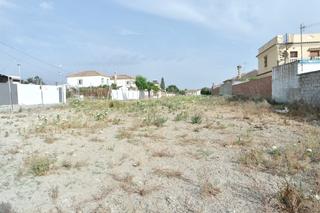 Casale in Monteolivete-Camino Sevilla. Parcela rustica