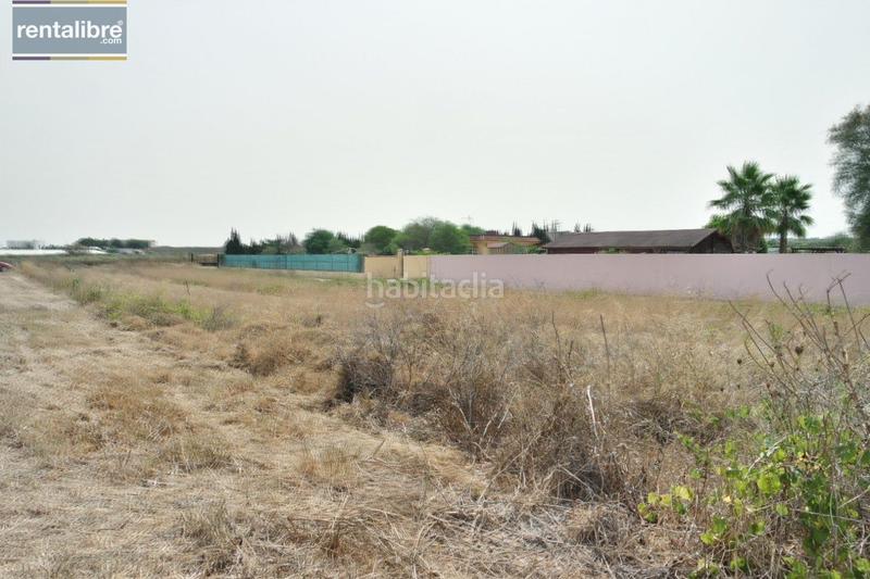 Foto b7dded55-189e-43fd-ba12-141f648c5653. Terreny residencial a Chipiona norte Chipiona