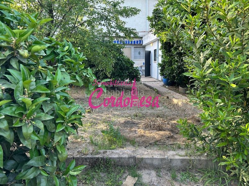 Foto 7f0145ef-cfd8-4e6d-bc01-19162e642b8a. Chalet magnifica chalet independiente en Alcolea, con zona de jardin y arboles frutales!!! en Córdoba