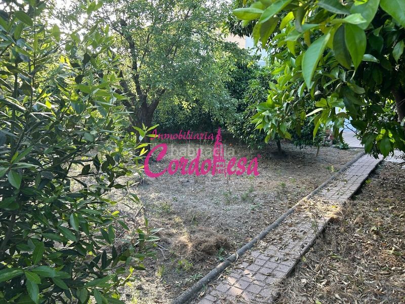 Foto 8e84ae6e-f7ac-4f12-9cb5-01d71976ea4c. Chalet magnifica chalet independiente en Alcolea, con zona de jardin y arboles frutales!!! en Córdoba