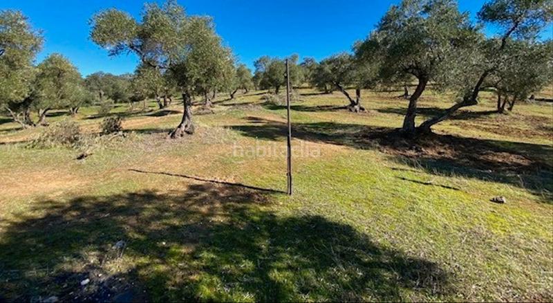 Foto d367bb21-2b2f-41b9-a965-ad7874f8f21d. Finca rústica finca rustica en venta en Obejo