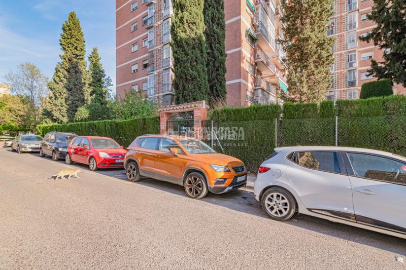 Foto 81e71fe3-4acf-4ca4-b62c-c318d511b1c4. Pis a Cartuja Granada