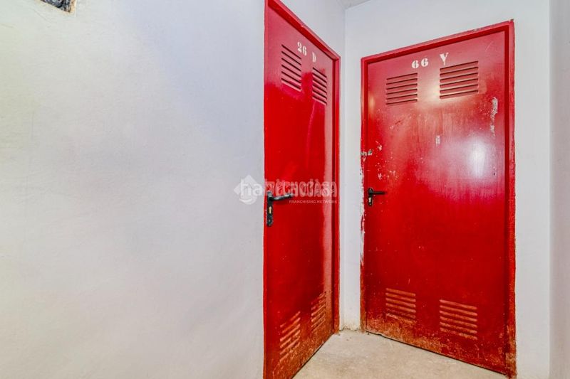 Foto e2f030e8-2f40-4d4b-96d6-a10bd2a69940. Pis a Almanjáyar Granada