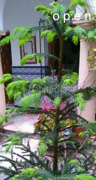 Foto 62863a65-8379-411f-aad7-2afbbe45264b. Haus mit heizung pool in casco histórico - ribera - san basilio Córdoba