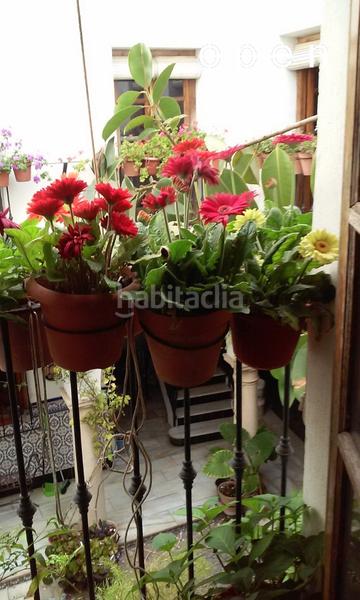 Foto 99d439a6-abdc-462c-b57b-40da6ff4585b. Haus mit heizung pool in casco histórico - ribera - san basilio Córdoba