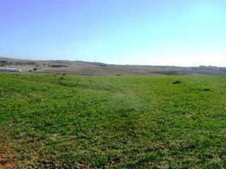 Rural plot  Polgono 9 parcela 5018 sda cojo. moraleja de enmedio (madr. Terreno en venta en pre. la roana, las angostillas y sendero del