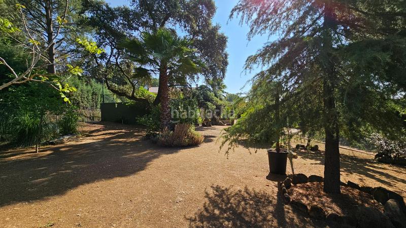 Foto 06c80e82-632f-4116-b06f-ce2c7ae33f49. Xalet amb calefacció aparcament piscina a Santa Maria de Trassierra Córdoba