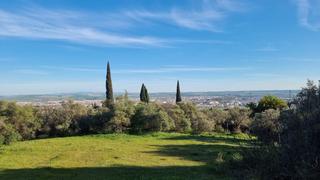 Residential Plot in El Brillante -El Naranjo - El Tablero. Gran parcela en venta en el patriarca