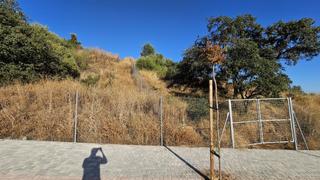 Terreno residencial en El Higuerón. Parcela en el pau santa ana de la albaida norte