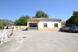 Masia a El Higuerón. Tu oasis privado a un paso de córdobaespectacular parcela en avd