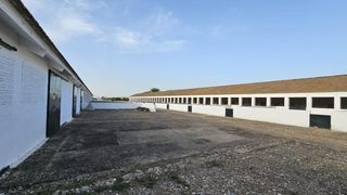 Nau industrial a El Higuerón. Gran oportunidad de inversión  nave industrial en venta