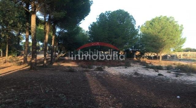 Foto 5207cd80-9320-4ac2-b3af-042700e28def. Finca rústica a Villamanrique de la Condesa