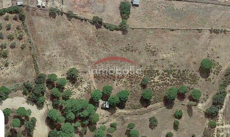 Foto 5a6cdfda-8b0a-42c7-8109-d6cf363eaeb0. Finca rústica a Villamanrique de la Condesa