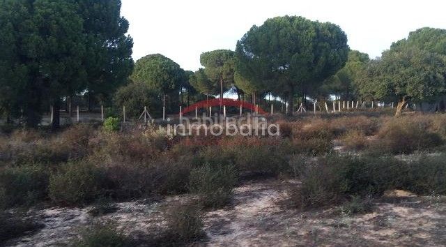 Foto a98d1c78-d32b-45e3-bc4f-d10c450a5160. Finca rústica a Villamanrique de la Condesa