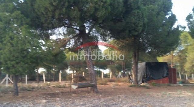 Foto b8cc3a8d-8821-4867-b993-02ca4b03d53a. Finca rústica a Villamanrique de la Condesa