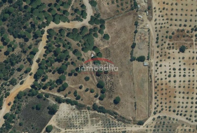 Foto f781b8ae-7e6d-4bf3-b4e9-8173ebe3cf24. Finca rústica a Villamanrique de la Condesa