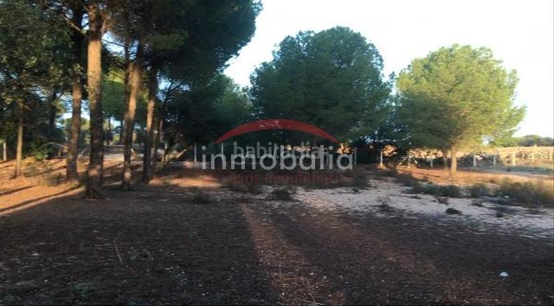 Foto 5207cd80-9320-4ac2-b3af-042700e28def. Finca rústica en Villamanrique de la Condesa