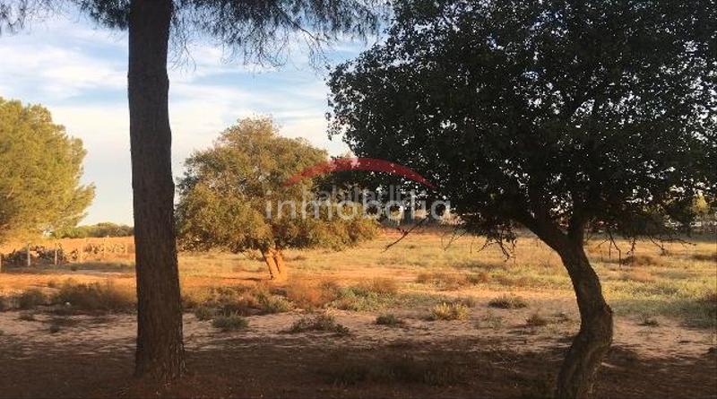 Foto 621c792f-2b30-4fd9-a978-1e1ac0bc33c7. Finca rústica en Villamanrique de la Condesa