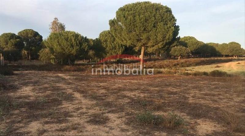 Foto 8e6bc698-1c4d-4e79-8a40-807691eeec9a. Finca rústica en Villamanrique de la Condesa