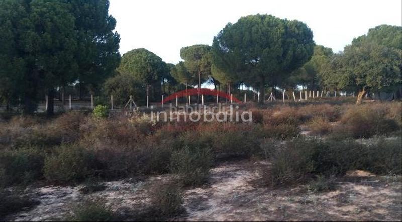 Foto a98d1c78-d32b-45e3-bc4f-d10c450a5160. Finca rústica en Villamanrique de la Condesa