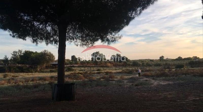 Foto e3a4e664-bdd6-4e3b-89e7-1641e08d50f7. Finca rústica en Villamanrique de la Condesa